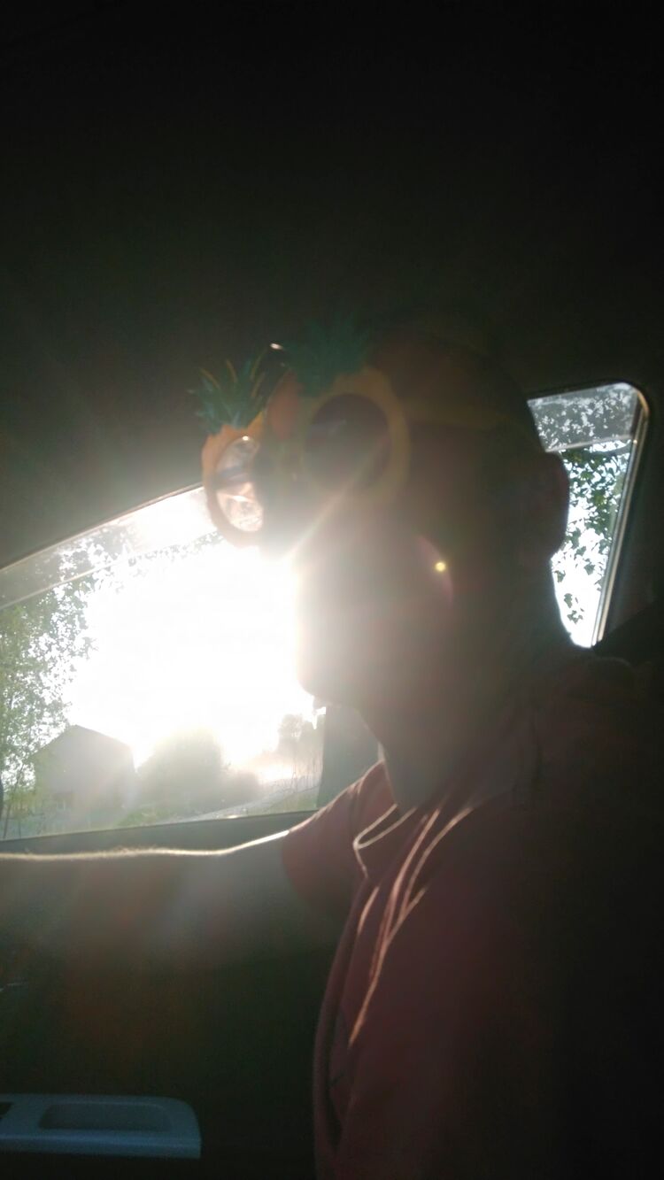  ,   Alexander, 41 ,   ,   , 
