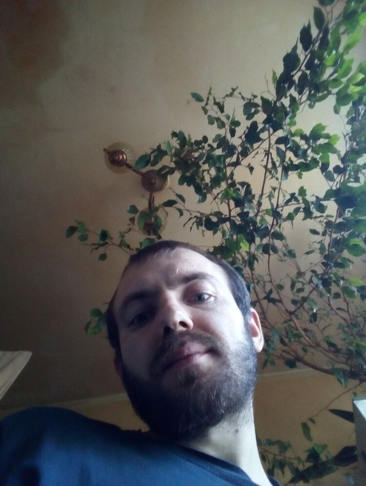  23736167  , 37 ,    