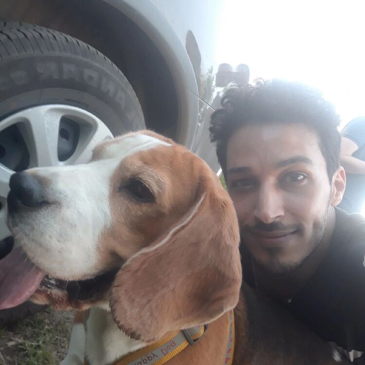 ���������� �����, ���� ������� �����, 32 ����, ������������ ��� ������, ����� � ���������, c�������� ���������, ���������