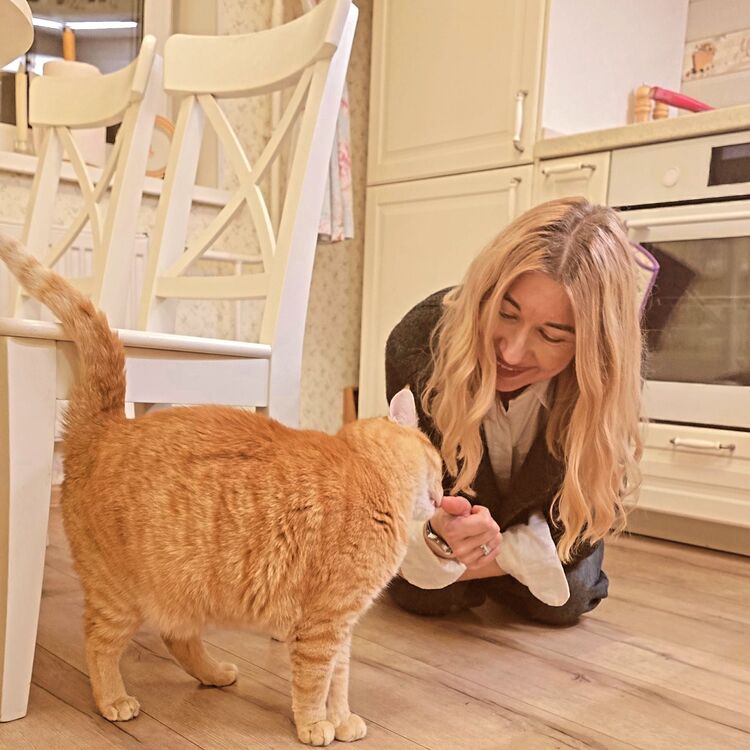 ���������� ������, ���� ������� ��������, 40 ���, ������������ 