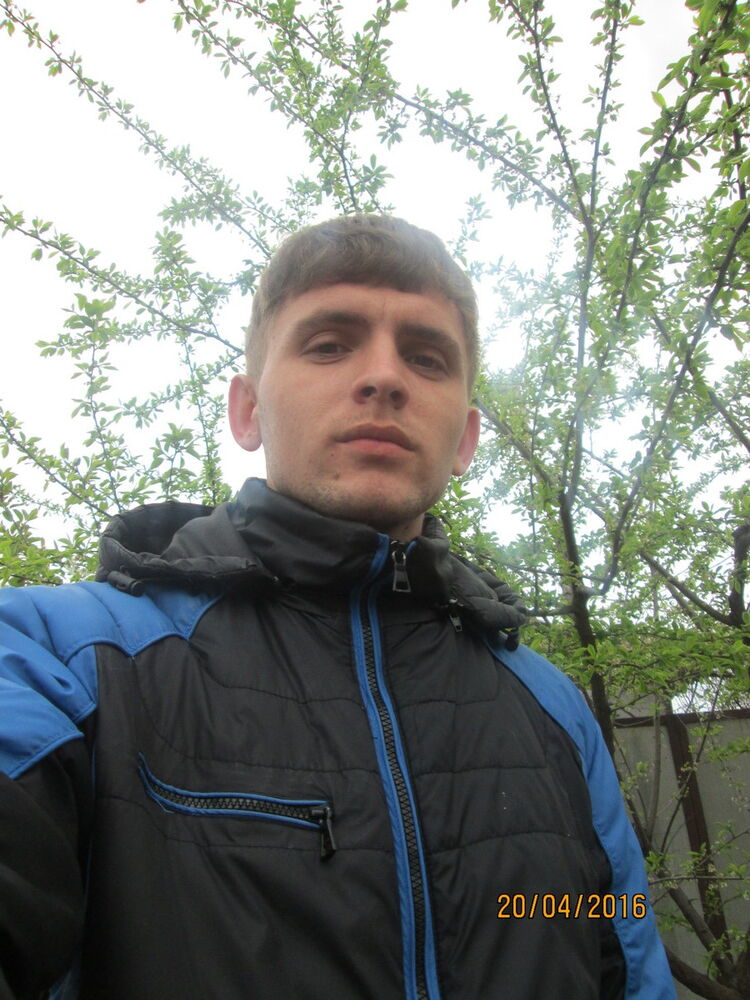 ���� 8241207 ������� ���������, 31 ���, ���� ���������� � ���������