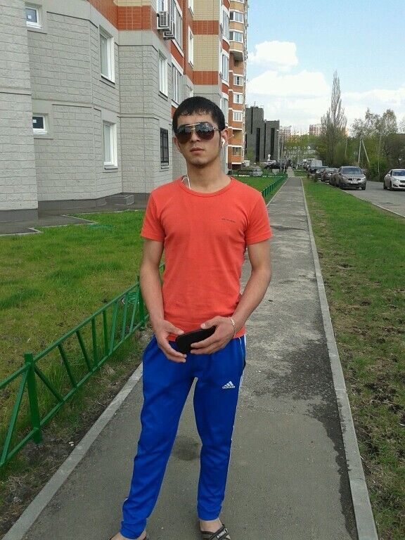  29803027  , 33 ,    -