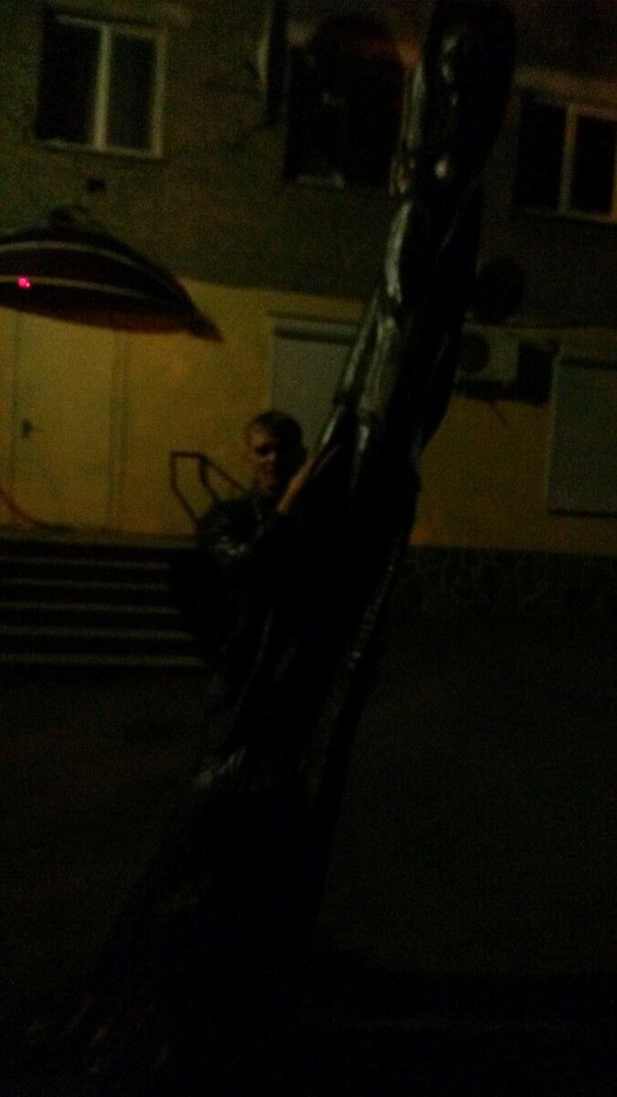 ���� 5335837 ������� ���������, 38 ���, ���� ���������� � ��������������