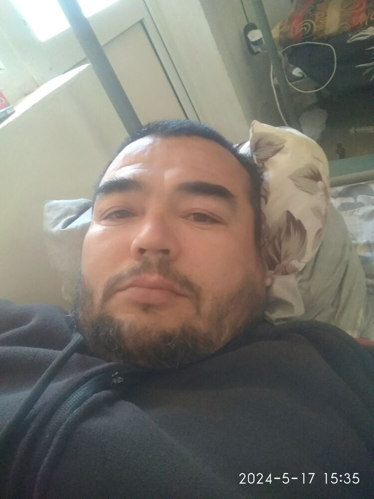  43591727  , 41 ,    