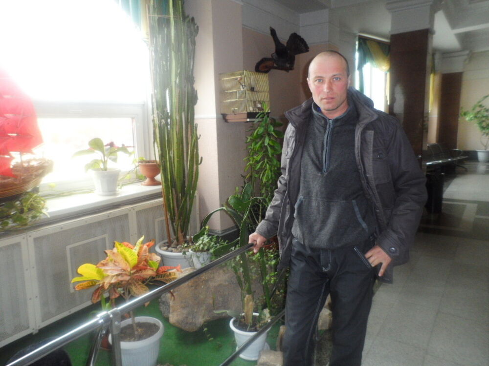 ���� 8700217 ������� ����, 50 ���, ���� ���������� � �������