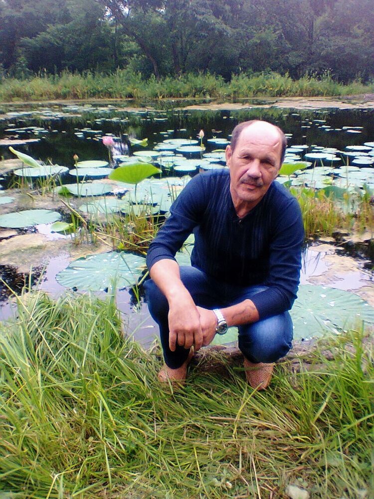 ���������� ���������, ���� ������� �������, 56 ���, ������������ ��� ������, ����� � ���������