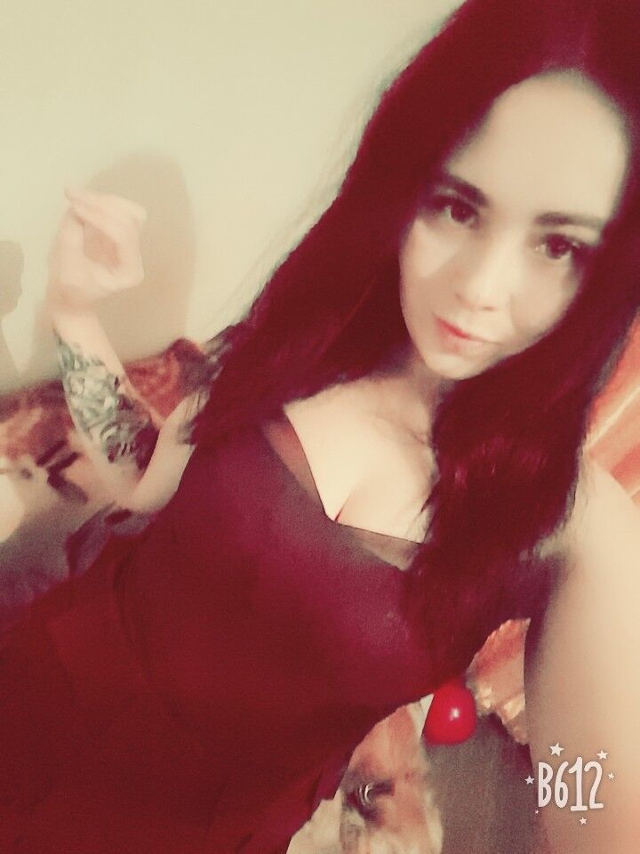  15246317  , 31 ,    
