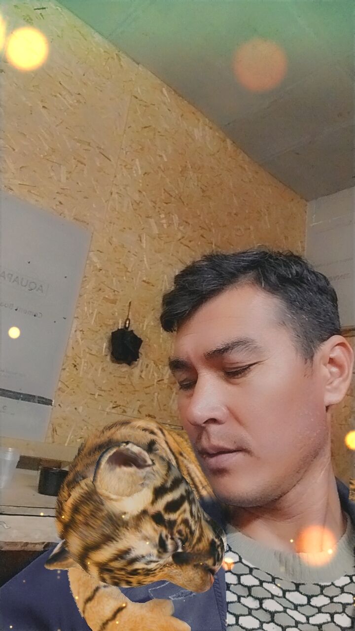 ���������� ������, ���� ������� ��������, 38 ���, ������������ ��� ������, ����� � ���������