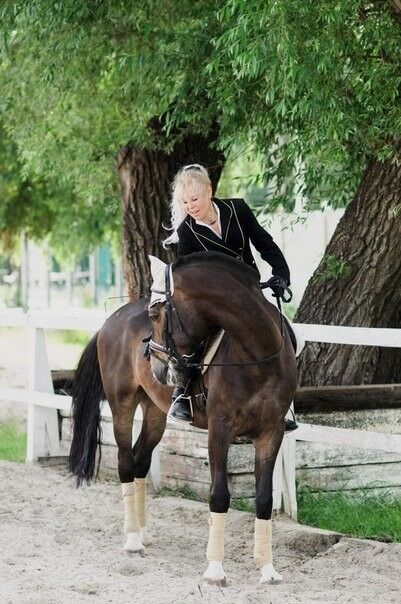 ���������� ����, ���� ������� Nana, 56 ���, ������������ 