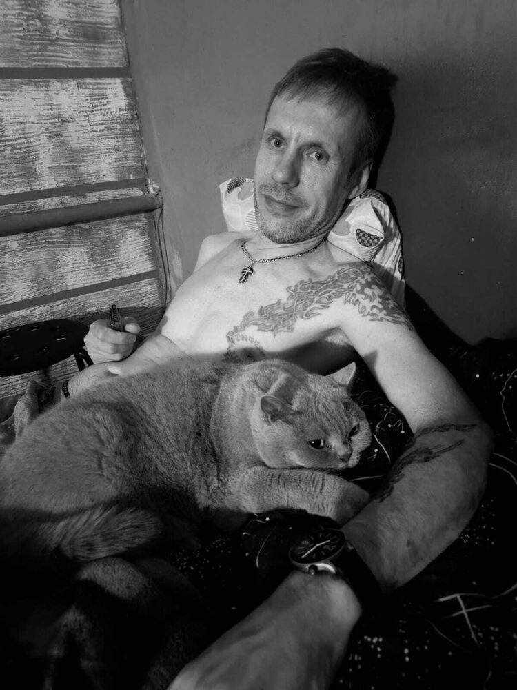  44662727  , 50 ,    -