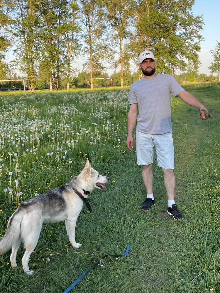 ���������� ������, ���� ������� �������, 37 ���, ������������ ��� ����� � ���������, c�������� ���������, ���������