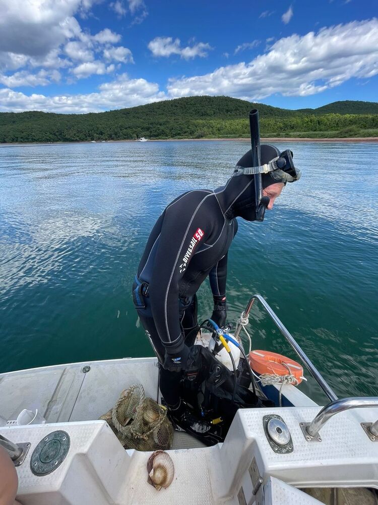 ���������� �����������, ���� ������� ������, 36 ���, ������������ ��� ������, ����� � ���������, c�������� ���������, ���������