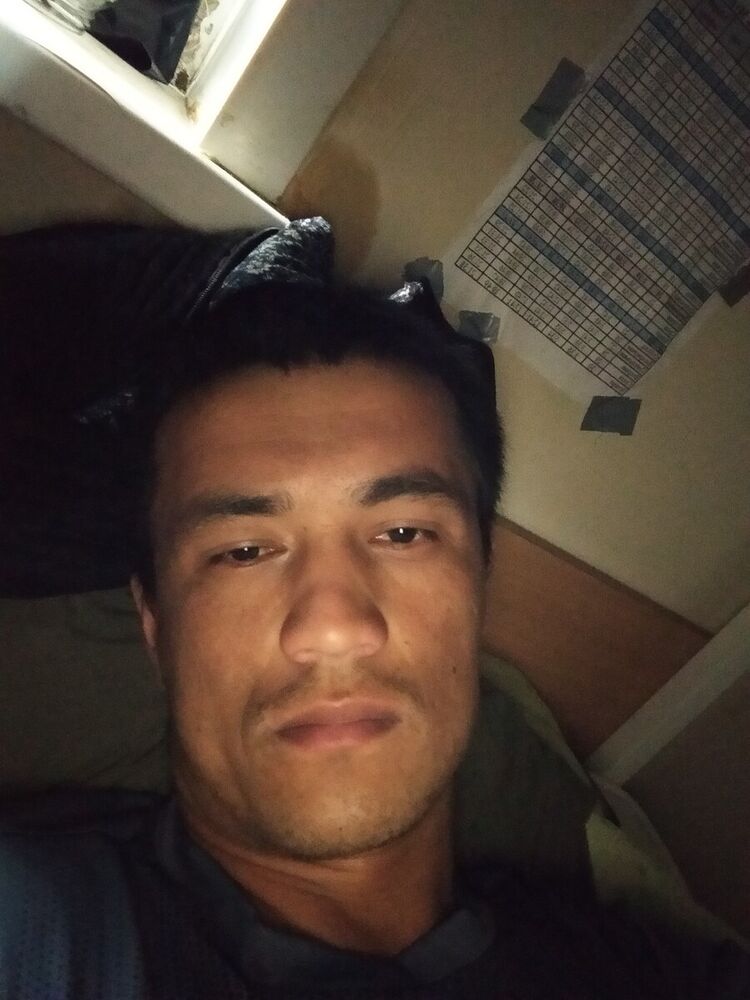 ���� 20426117 ������� Fazli, 31 ���, ���� ���������� � ���������