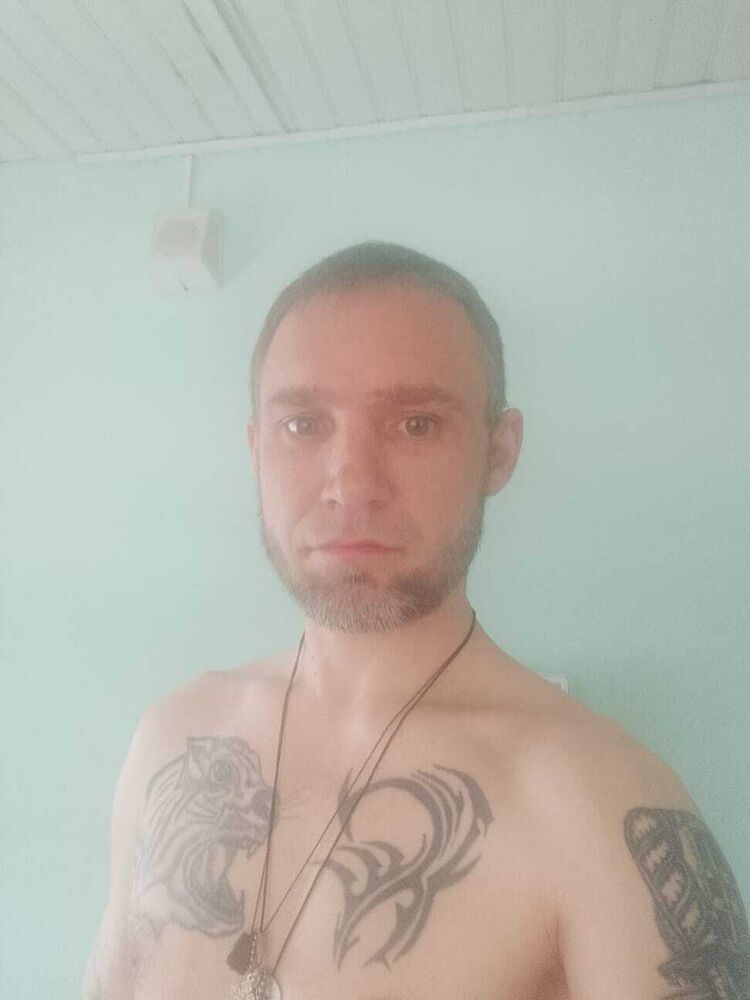  33944237  , 35 ,    