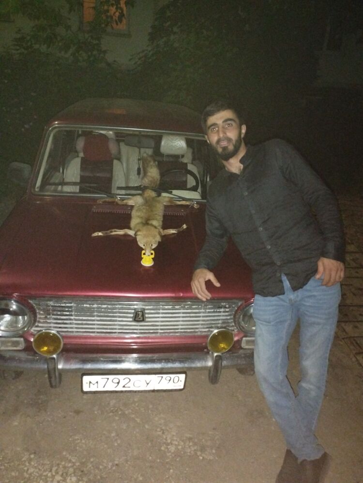 ���� 27744647 ������� ����, 37 ���, ���� ���������� � ������