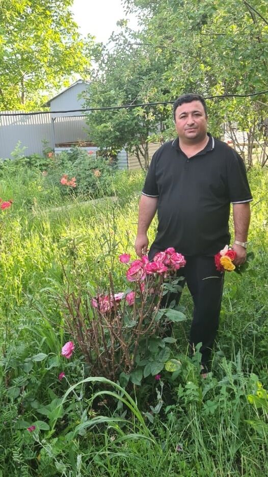 ���������� ���������, ���� ������� ����, 38 ���, ������������ ��� ������, ����� � ���������, c�������� ���������