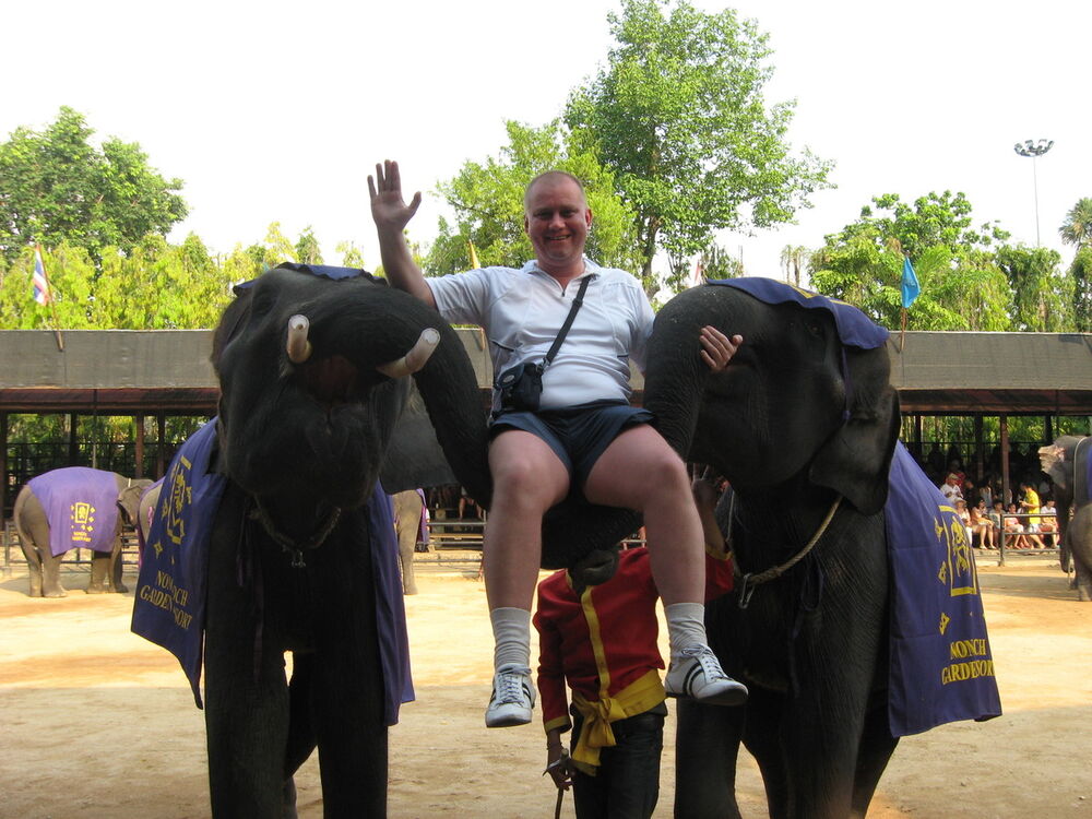 ���� 19259387 ������� ����, 43 ����, ���� ���������� � ���������������