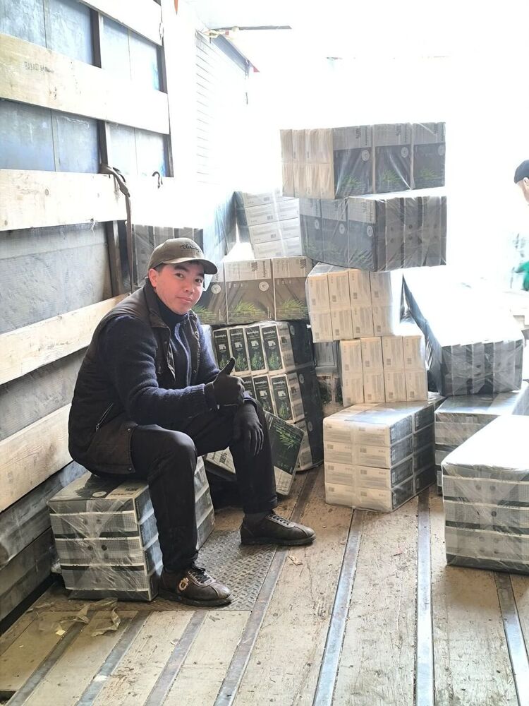 ���� 56190877 ����� ������, 21 ���, ���� ���������� � ���