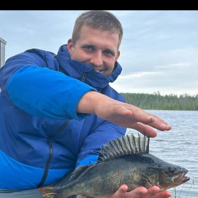 ���� 51742617 ������� ����, 34 ����, ���� ���������� � ������