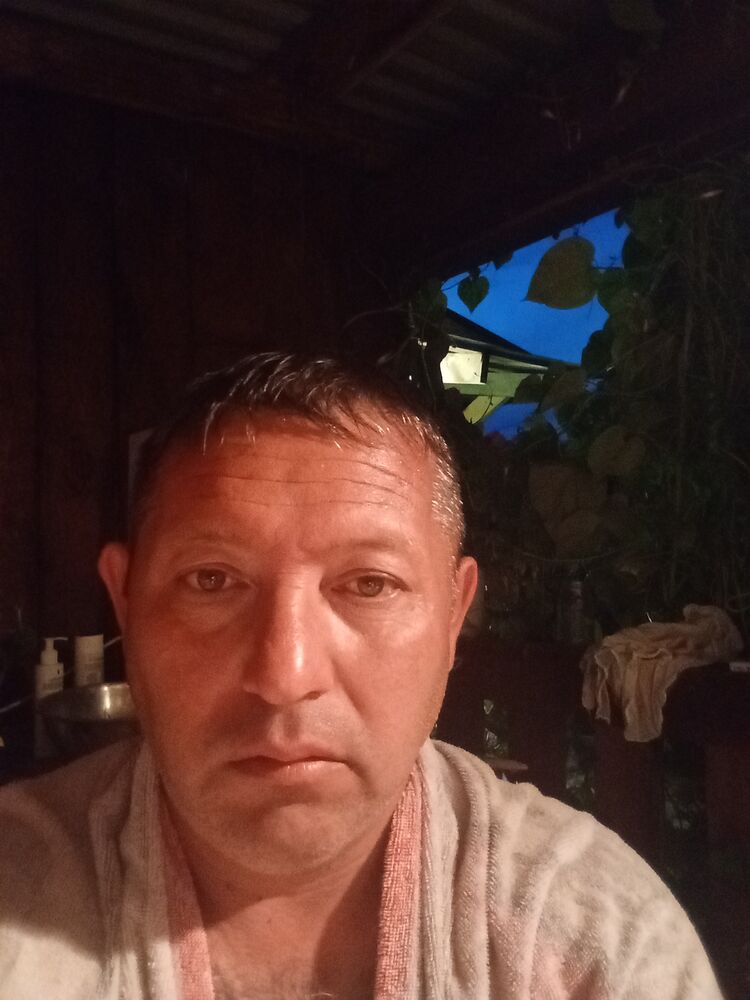  53897087  , 43 ,    