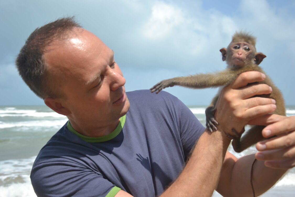 ���� 22855827 ������� ������, 50 ���, ���� ���������� � ������