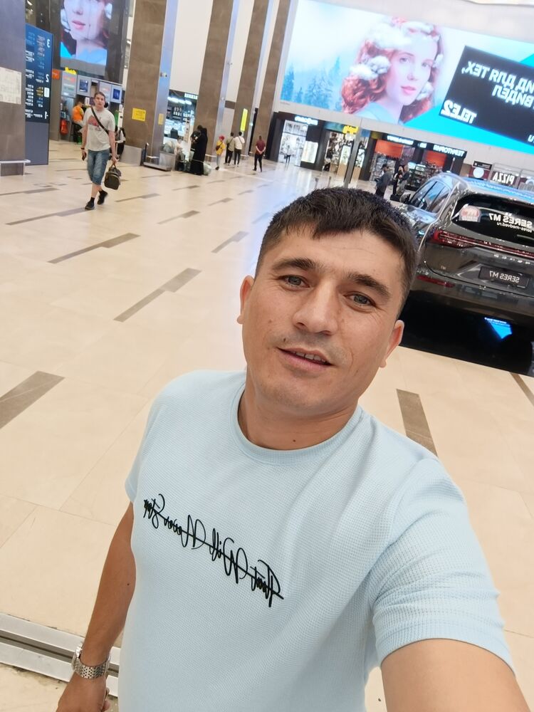  50251567  , 33 ,    
