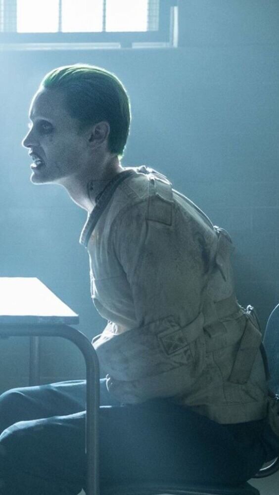 ���� 19071087 ������� ���������, 29 ���, ���� ���������� � ������