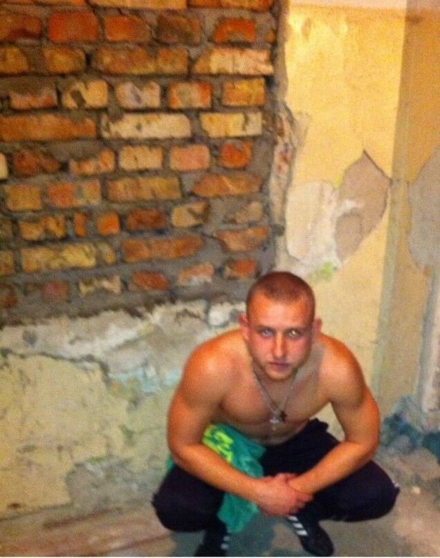 ���� 5490047 ������� Festival, 36 ���, ���� ���������� � ���������