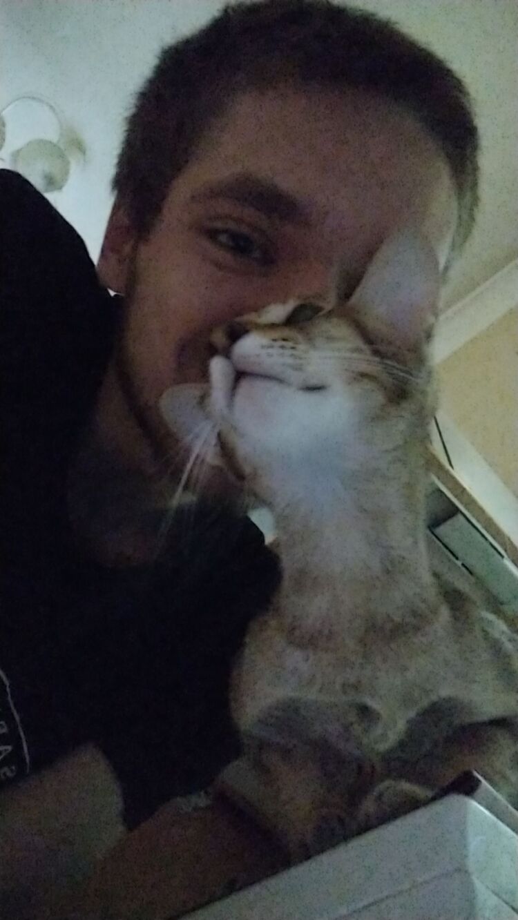  27879227  , 28 ,    -