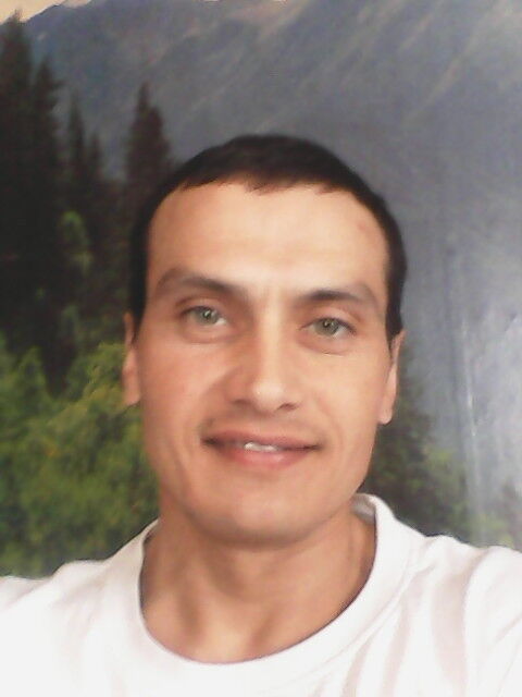  7400267  , 43 ,    