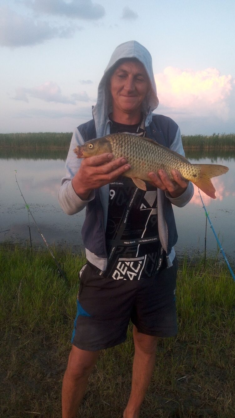  36108677  , 44 ,    --