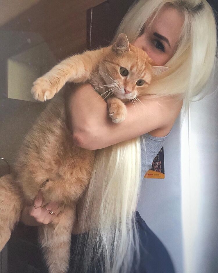 ���������� ������, ���� ������� ���������, 25 ���, ������������ ��� ������, ����� � ���������