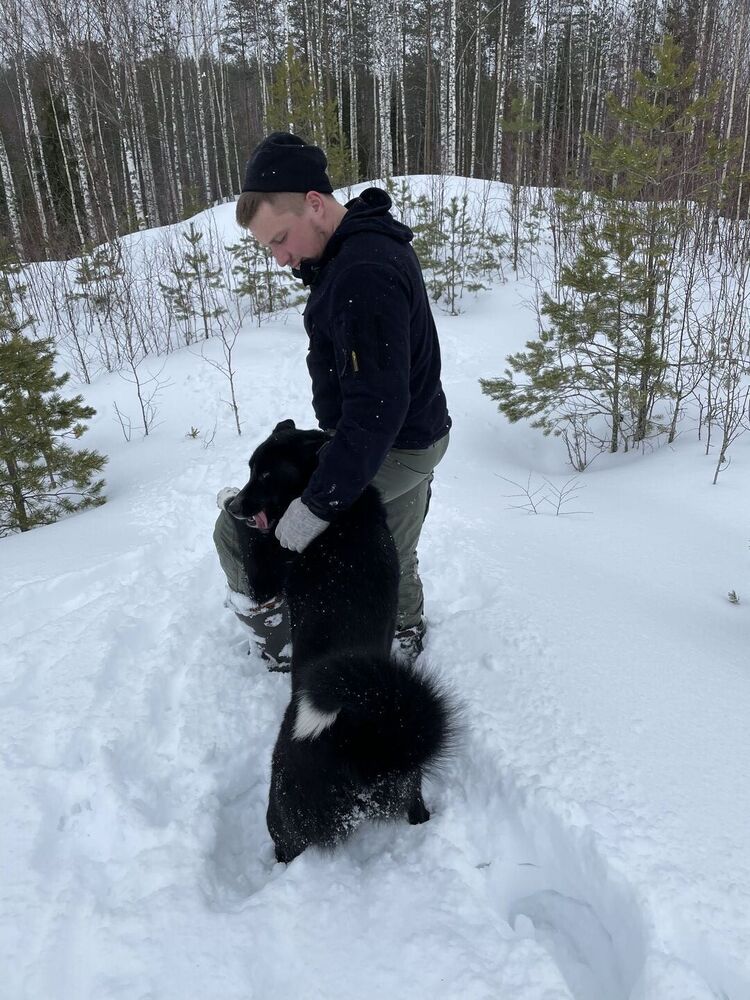 ���������� �����-���������, ���� ������� ����, 31 ���, ������������ ��� ������, ����� � ���������, c�������� ���������