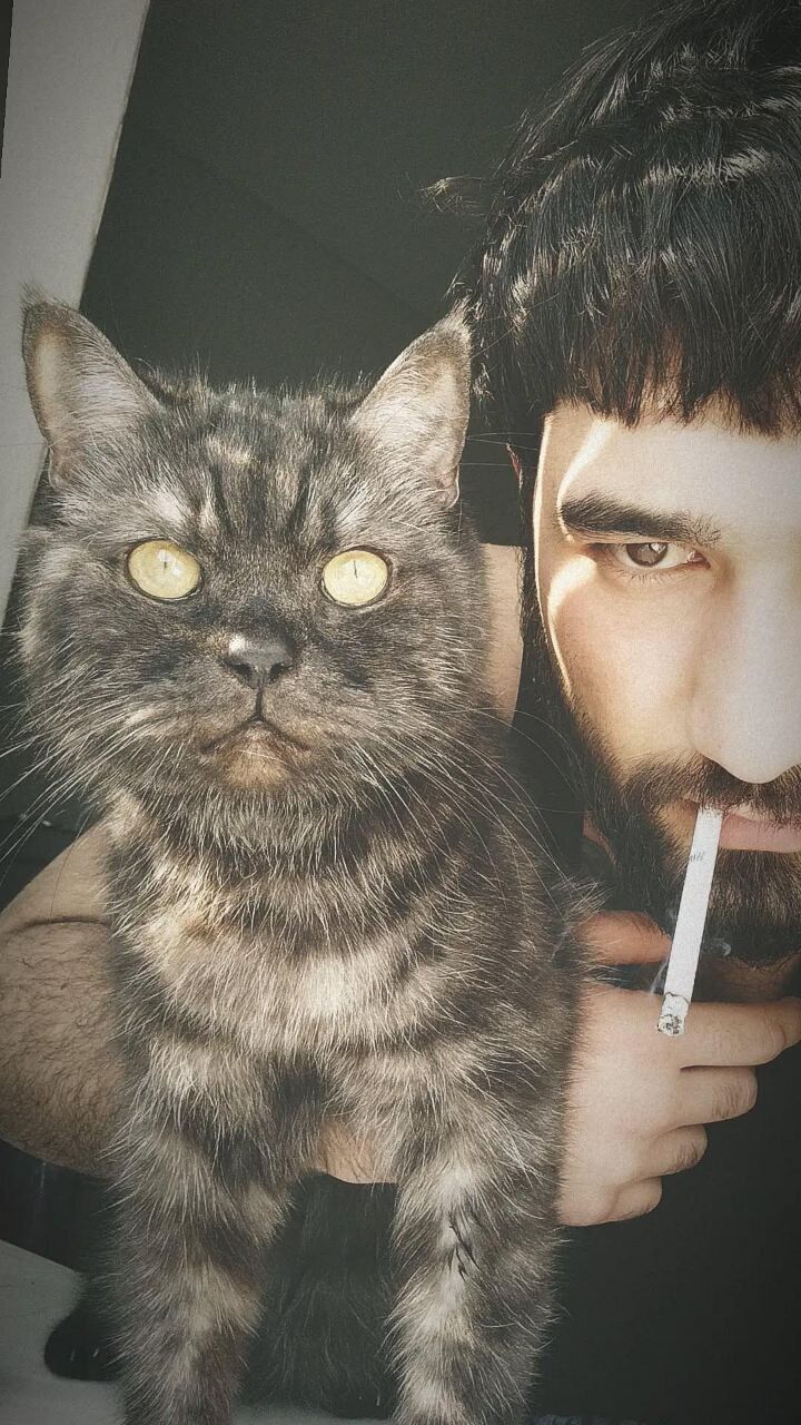  54310717  , 27 ,    Palais-Bourbon