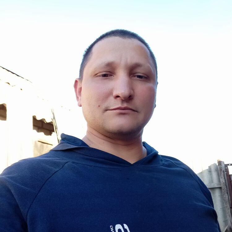  29519057  , 43 ,    