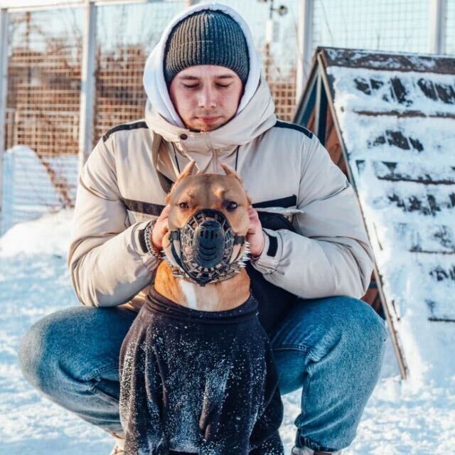  52373637  , 25 ,    -