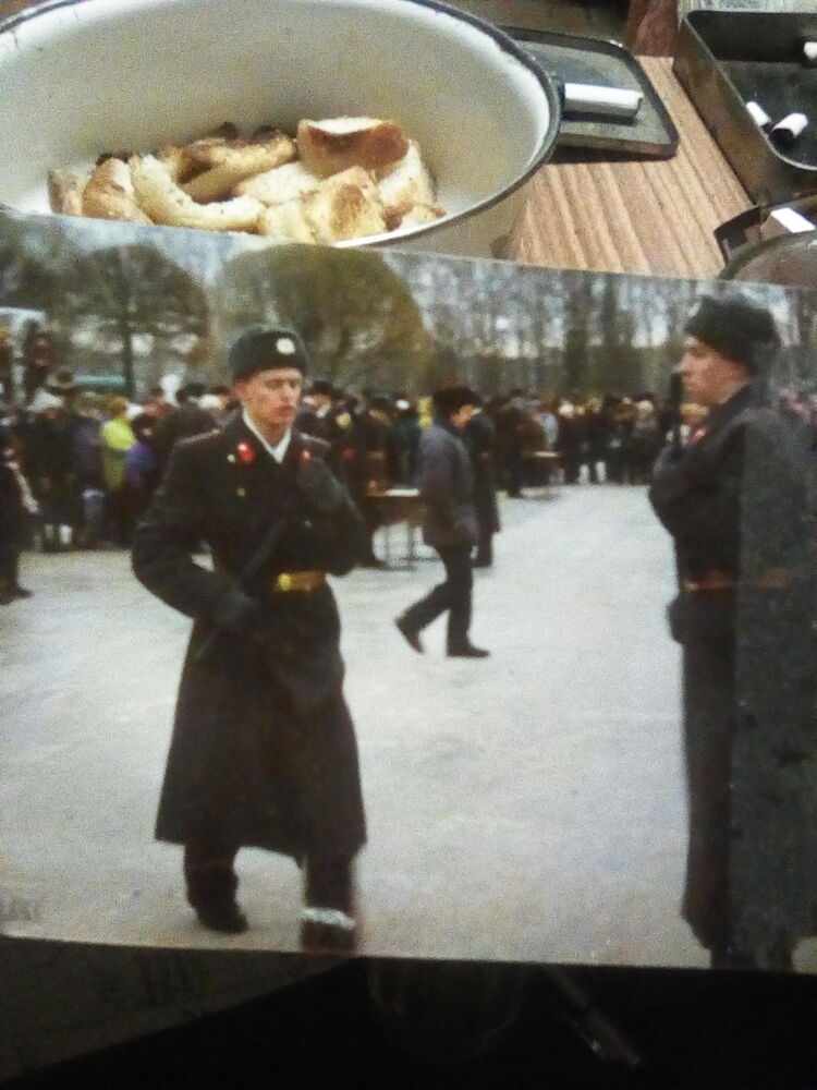   ,   , 49 ,  
