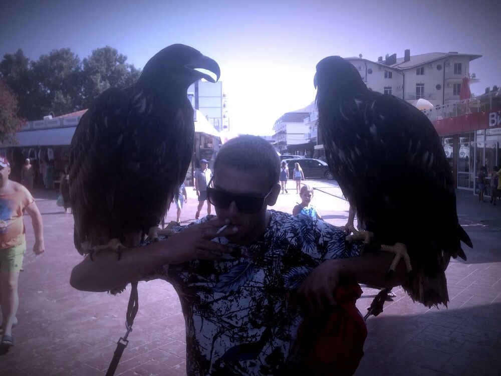 ���������� ����������, ���� ������� ������, 28 ���, ������������ ��� ������, ����� � ���������, c�������� ���������, ���������