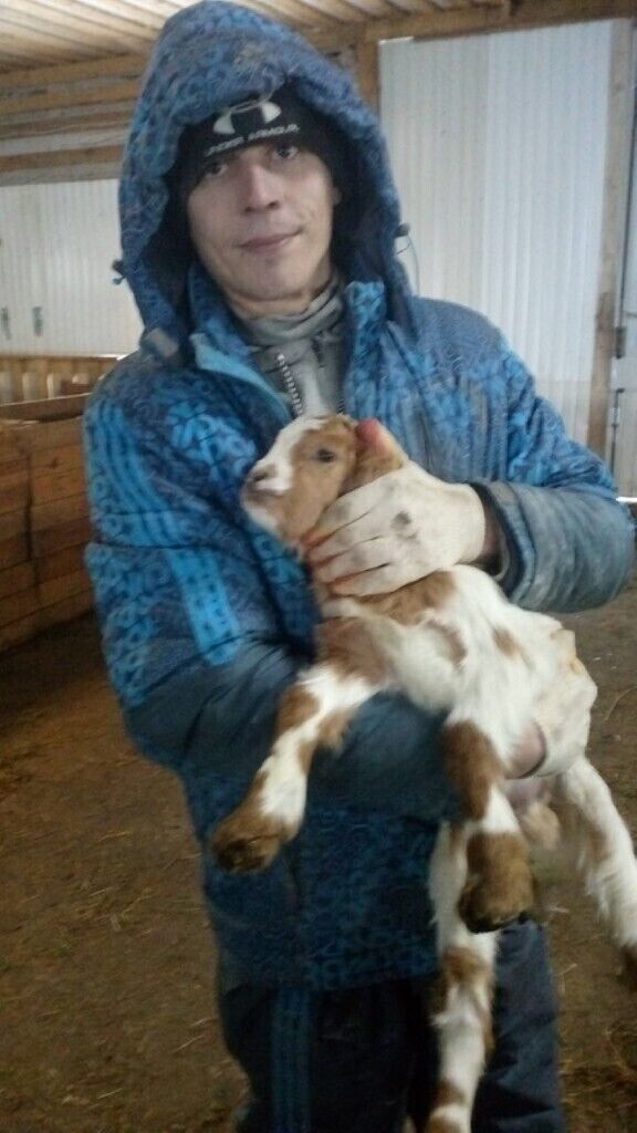 ���������� ������, ���� ������� �������, 38 ���, ������������ ��� ������, ����� � ���������