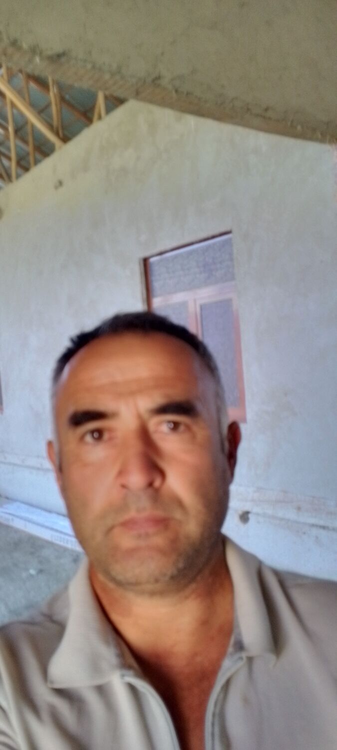  47089577  , 44 ,    