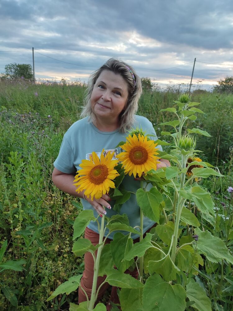 ���������� �����������, ���� ������� �����, 54 ����, ������������ ��� c�������� ���������