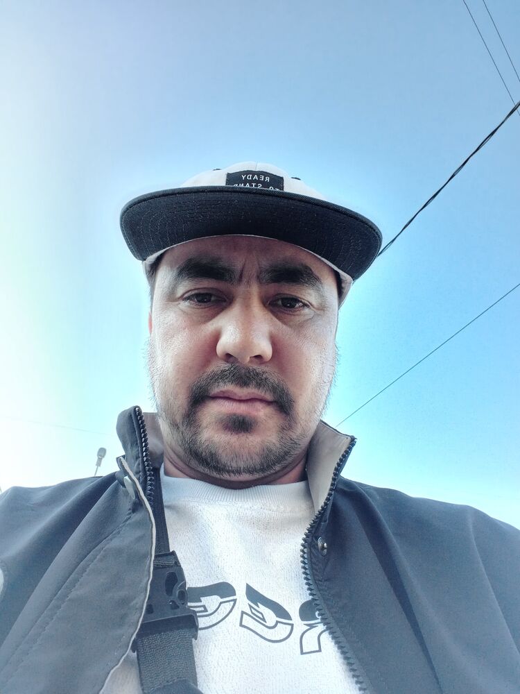  50539287  , 33 ,    -