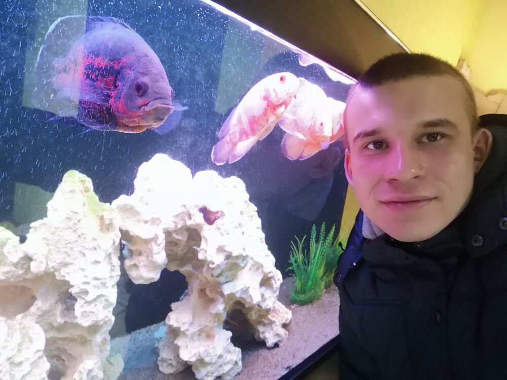 ���� 55628077 ������� ������, 30 ���, ���� ���������� � ������