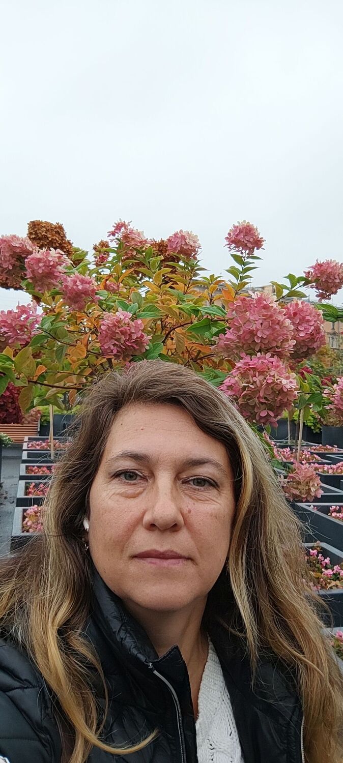 -,   , 46 ,     , c , 