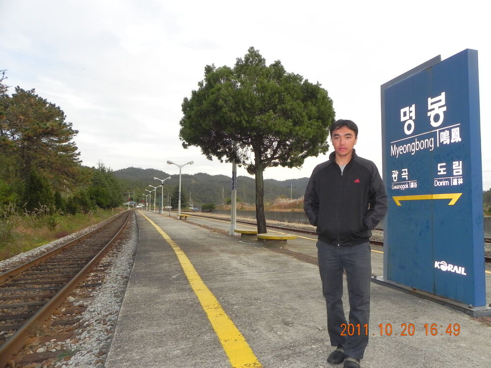  8228707  , 40 ,    -