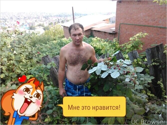  11390227  , 46 ,    