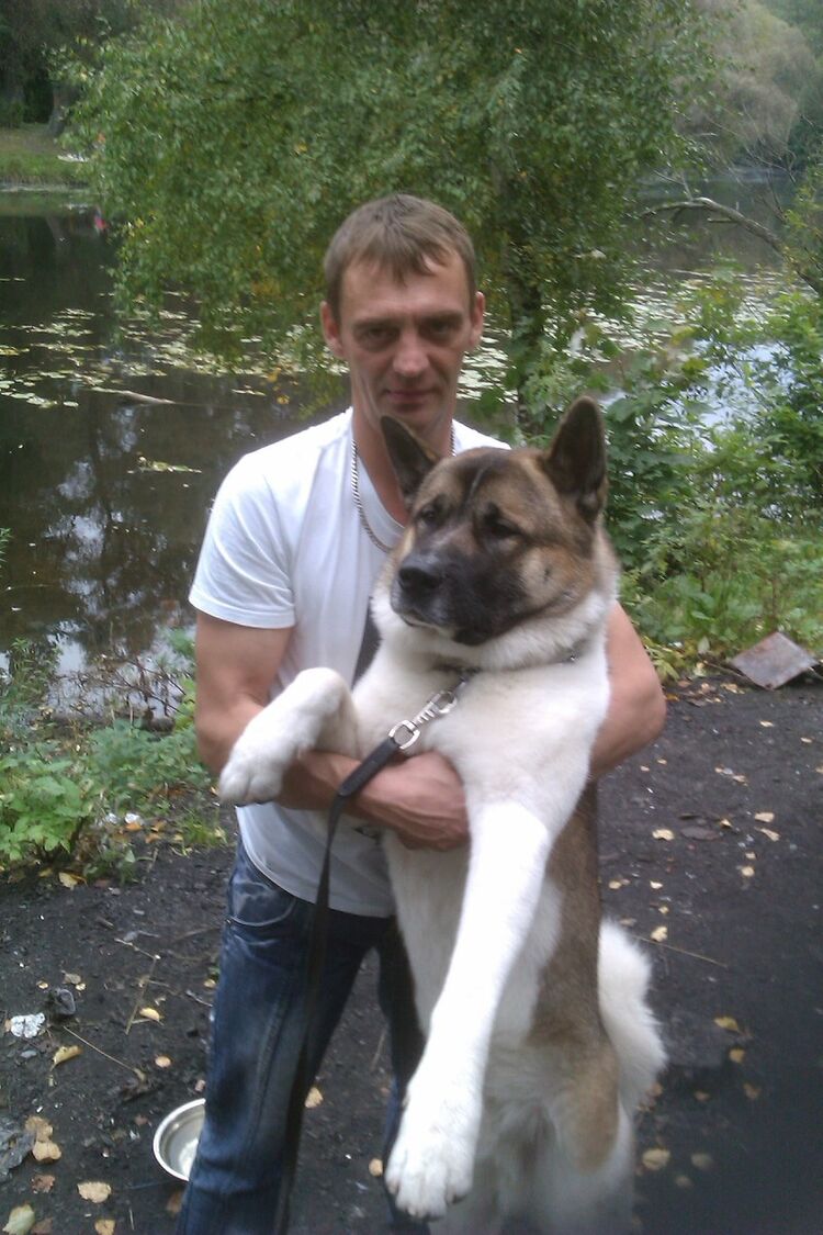 ���������� �����-���������, ���� ������� ���������, 51 ���, ������������ ��� ����� � ���������, c�������� ���������