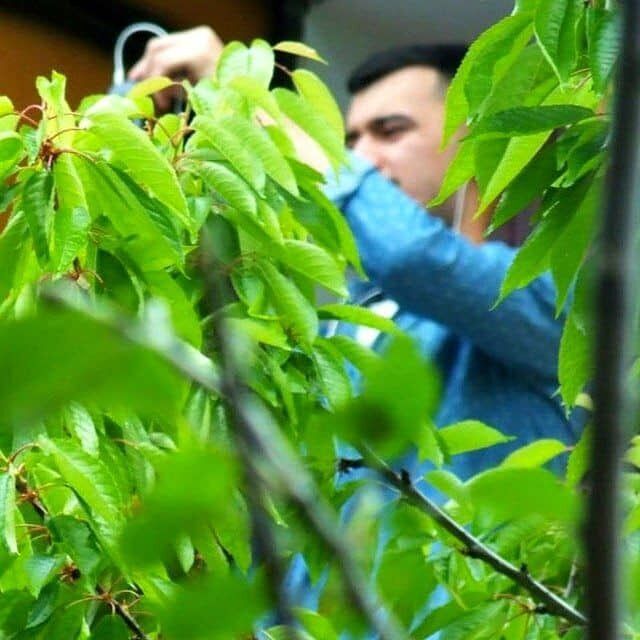 ���������� �������, ���� ������� Salamat, 31 ���, ������������ ��� ������, ����� � ���������