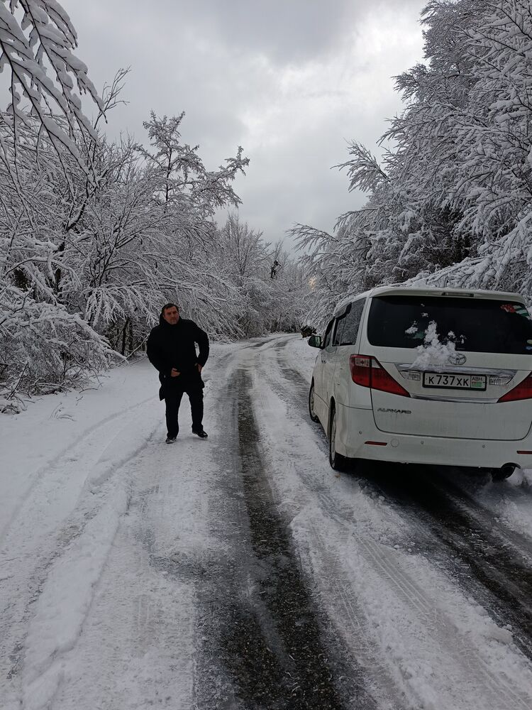 ���������� �����, ���� ������� �����, 37 ���, ������������ ��� ������, ����� � ���������