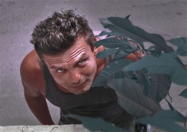 ���� 22856487 ������� �������, 52 ����, ���� ���������� � ������